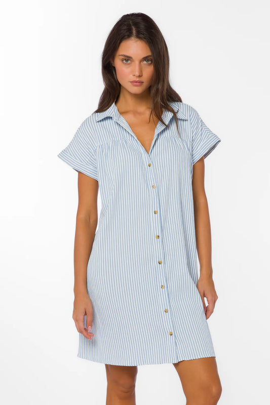Merilee Peri Stripe Dress