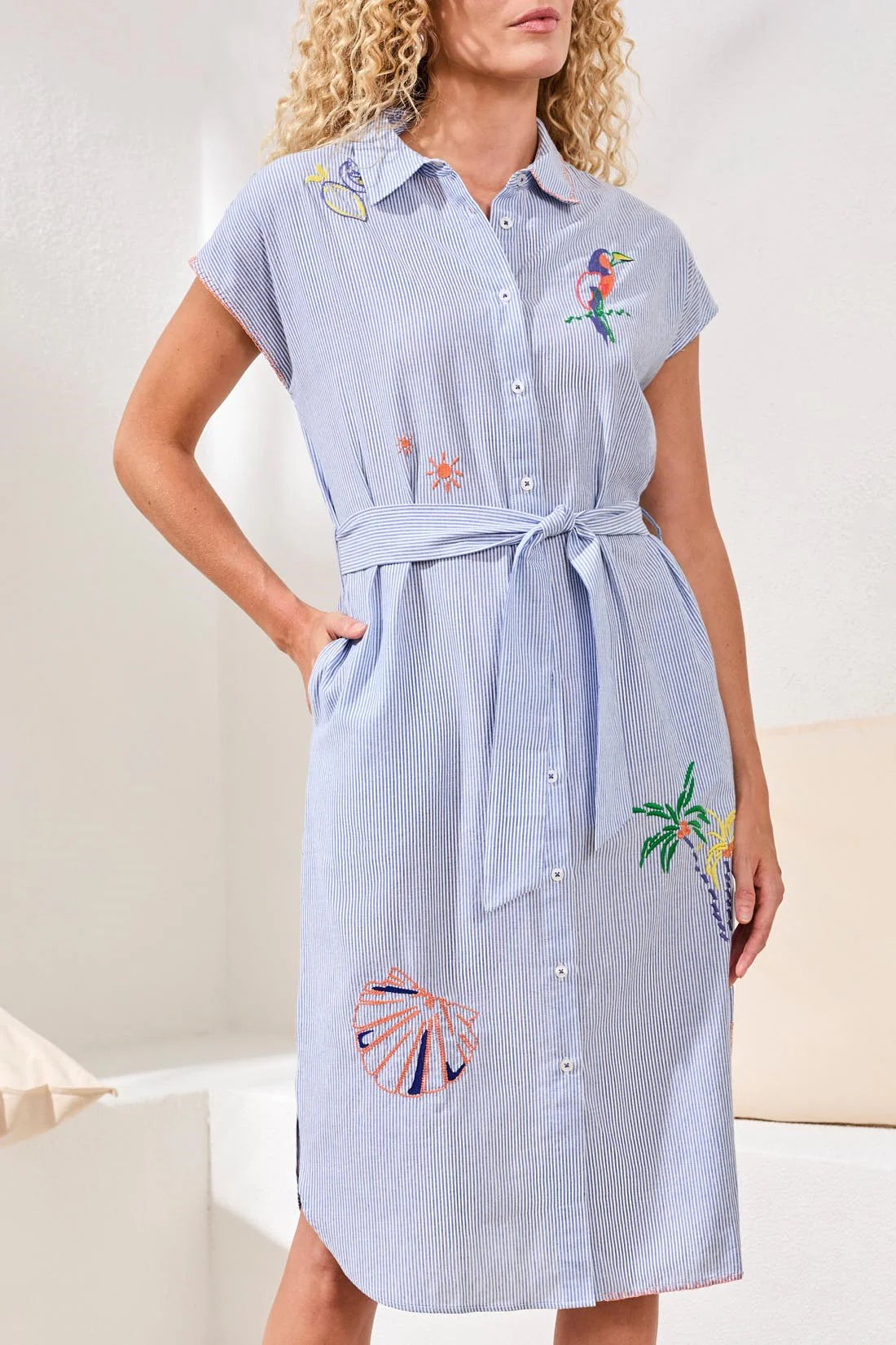 Embroidered Stripe Cotton Button-Front Belted Shirt Dress